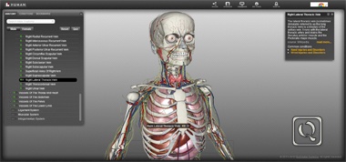 在线3D人体结构示意图-BioDigita
