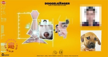 寻找最像你的那只狗-Doggelganger