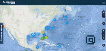 全球大型海洋生物定位追踪-OCEARCH