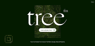 让人心旷神怡的森林电台-Tree Fm